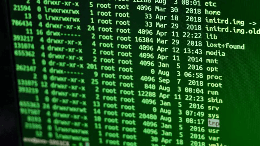 Interactive SSH Honeypot